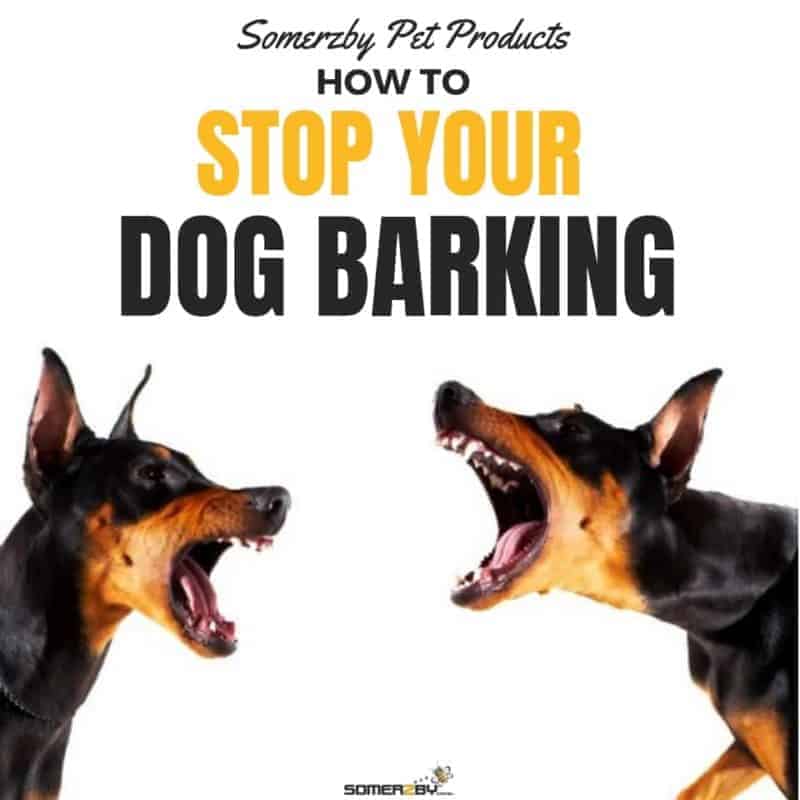 how to stop a dog barking when your not home