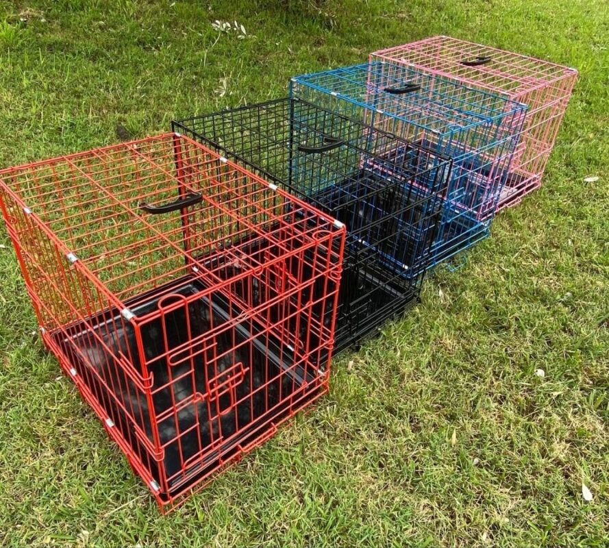 Small Collapsable Dog Crate 24   24 Inch Crate 4 Colour Options 889x800 