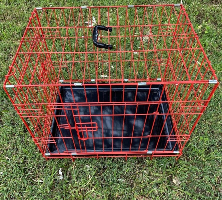 Small Collapsable Dog Crate 24   24 Inch Crate Red 889x800 