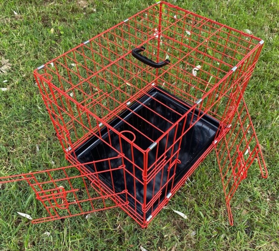 Small Collapsable Dog Crate 24   24 Inch Crate Red Doors Open 889x800 