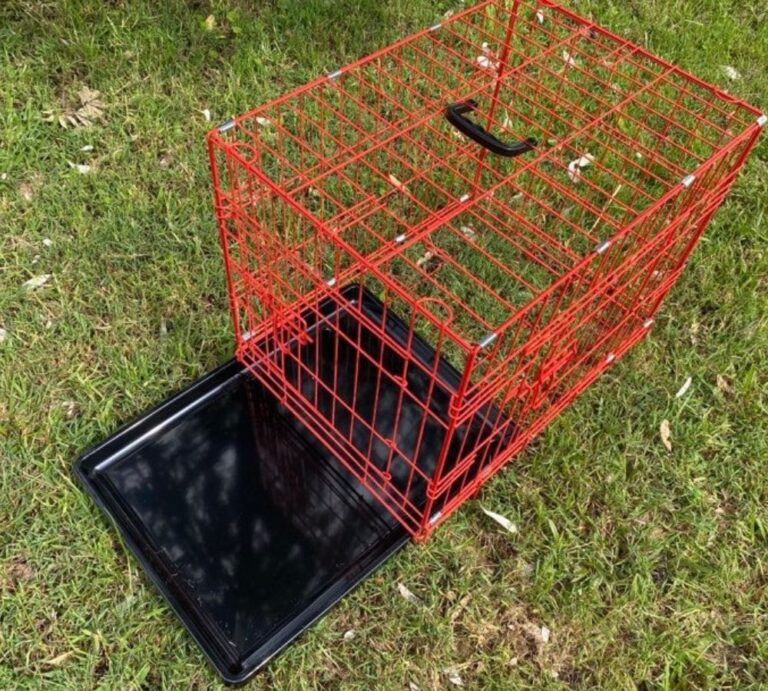 Small Collapsable Dog Crate 24   24 Inch Crate Red Tray Open 768x691 