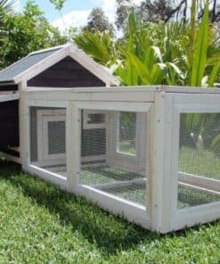 Deluxe cottage for Chickens
