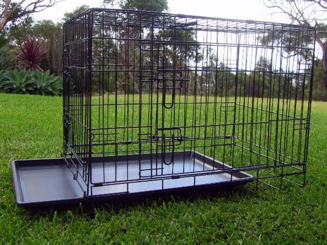 collapsible dog cage