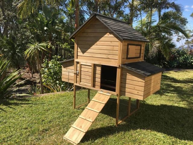 Chicken Coop Size Greenherbin