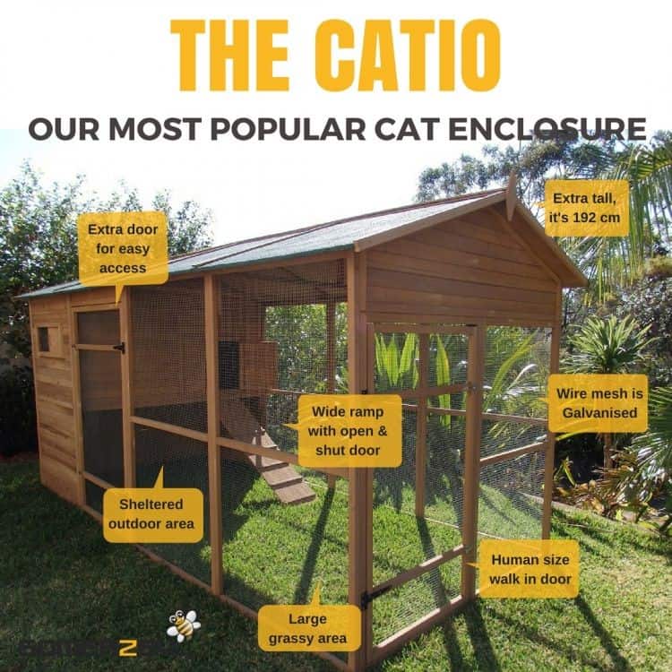outdoor cat enclosure