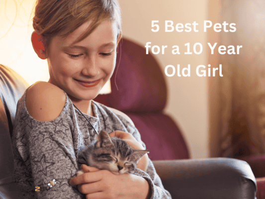 5 Best Pets for a 10 Year Old Girl