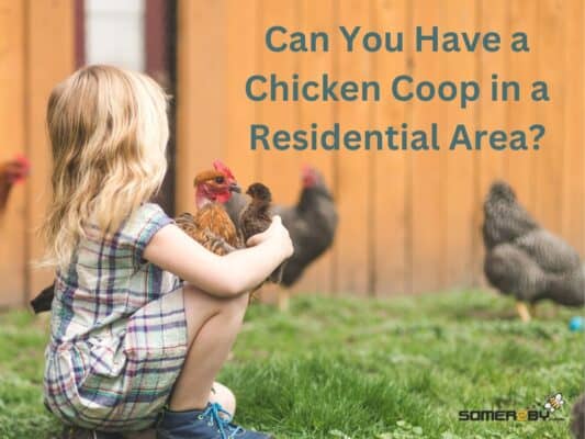 Can You Have a Chicken Coop in a Residential Area?