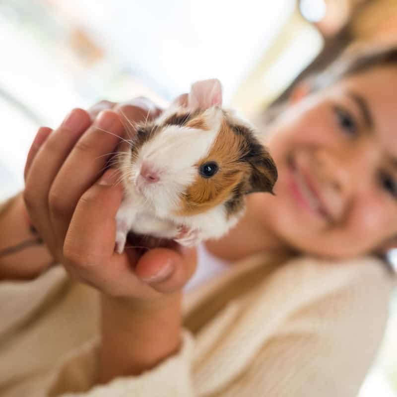 What to Consider When Choosing a Pet for Your 10 Year Old Daughter