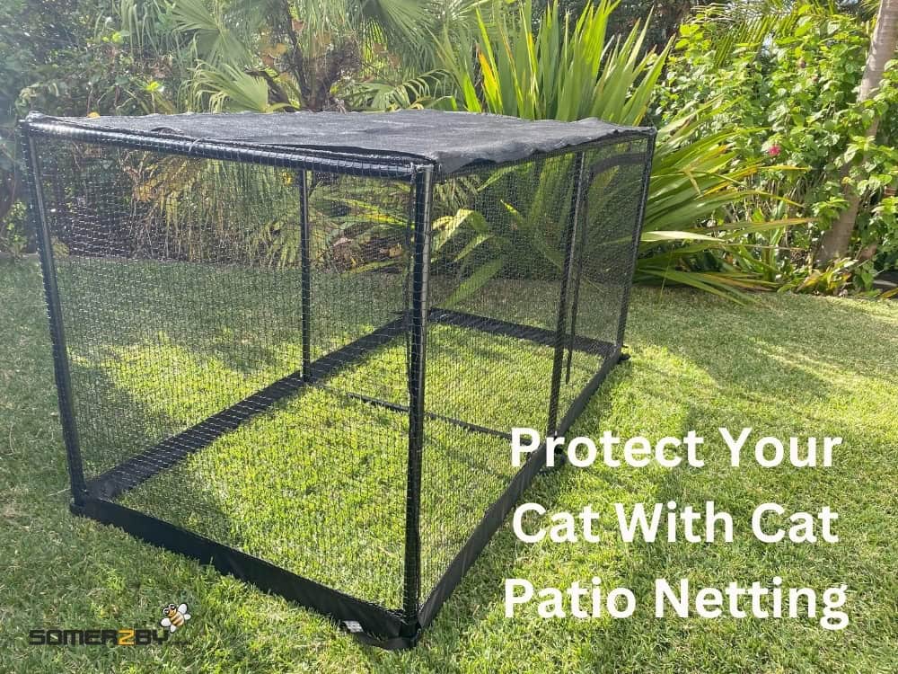 Protect Your Cat With Cat Patio